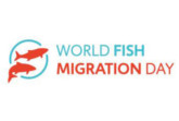 worldfishmigration